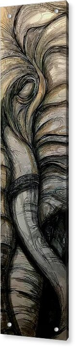 Elephant Half - Acrylic Print