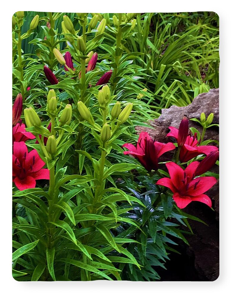 Garden Love - Blanket