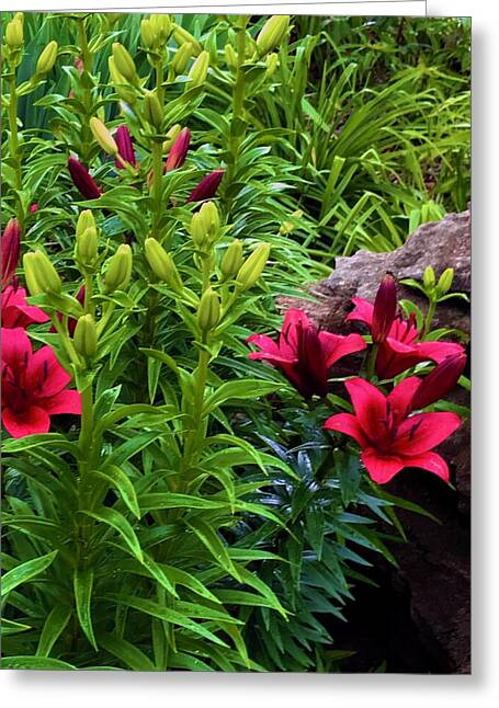 Garden Love - Greeting Card