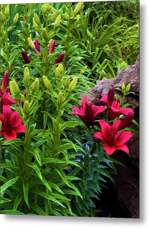Garden Love - Metal Print