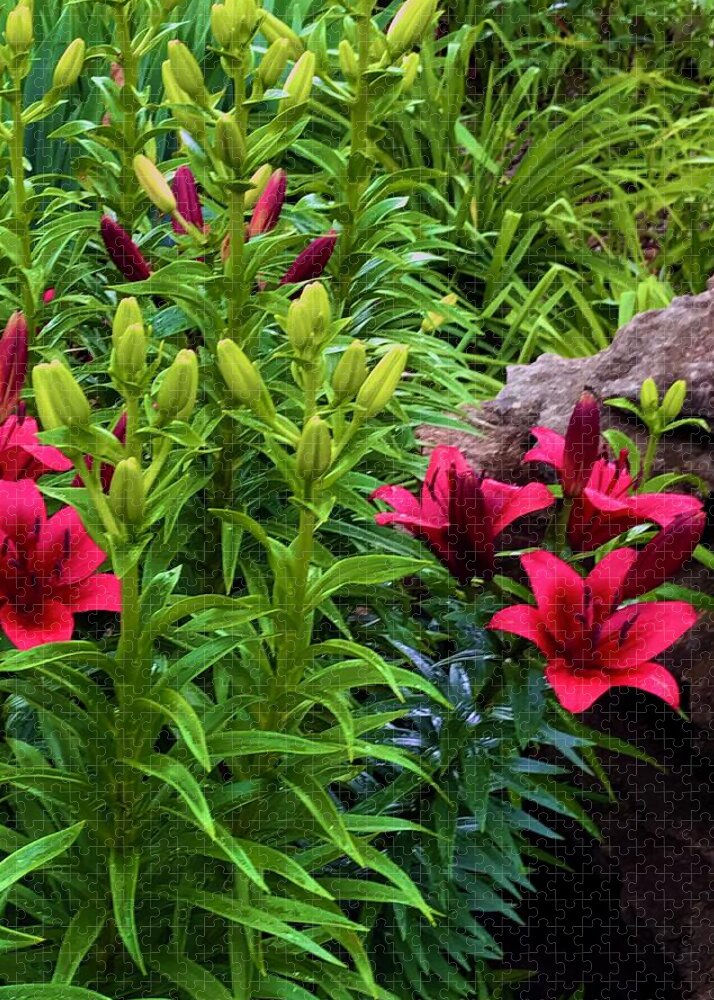 Garden Love - Puzzle