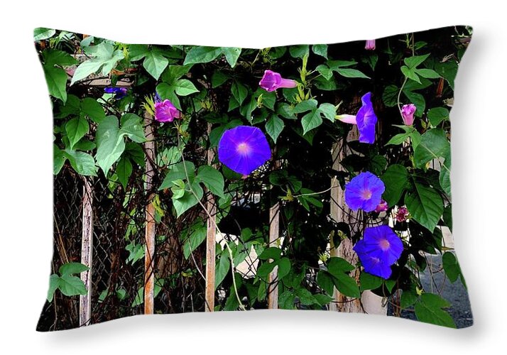 LA Neighbor - Throw Pillow