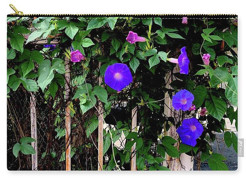 LA Neighbor - Zip Pouch
