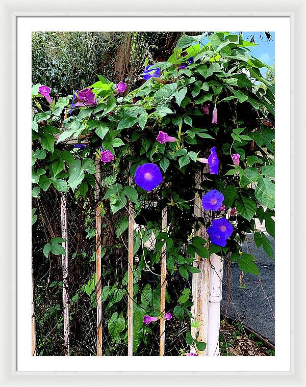LA Neighbor - Framed Print