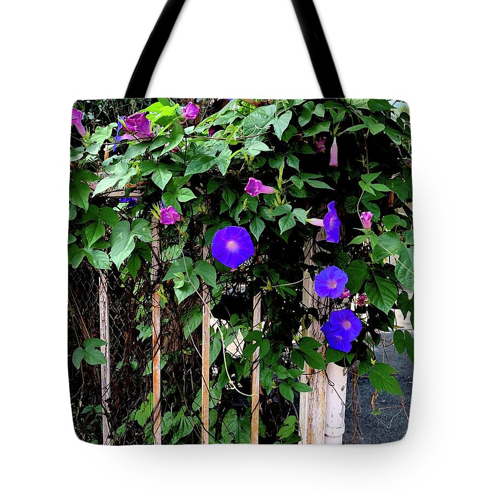 LA Neighbor - Tote Bag