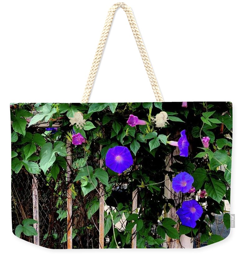 LA Neighbor - Weekender Tote Bag