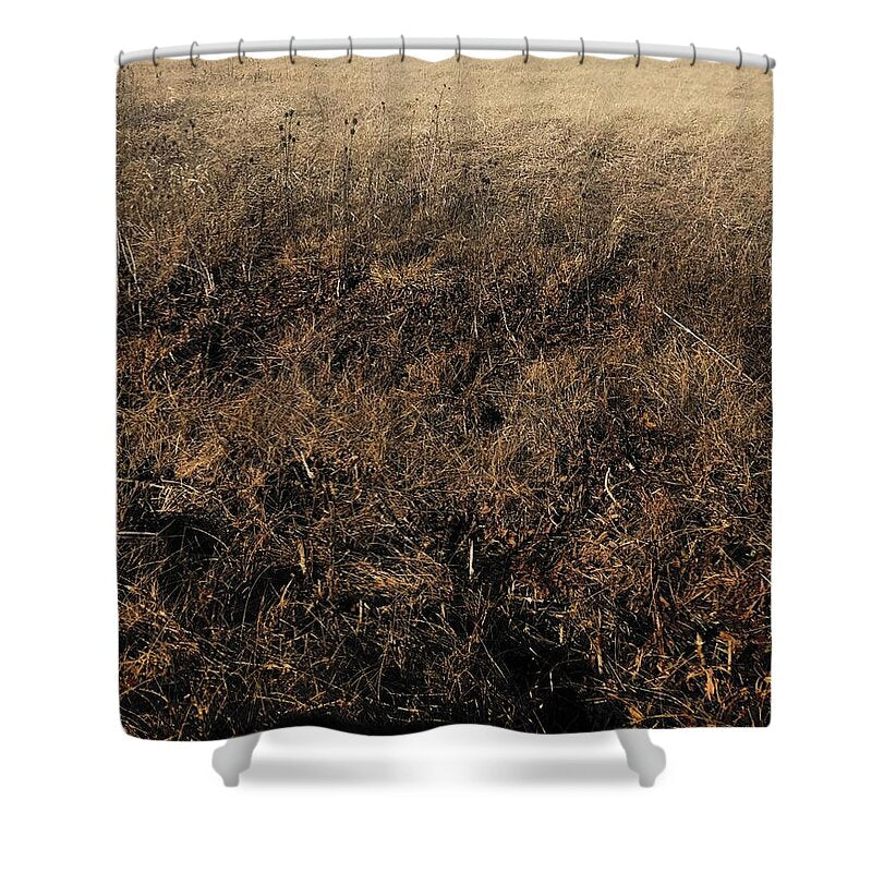 MO Grass - Shower Curtain