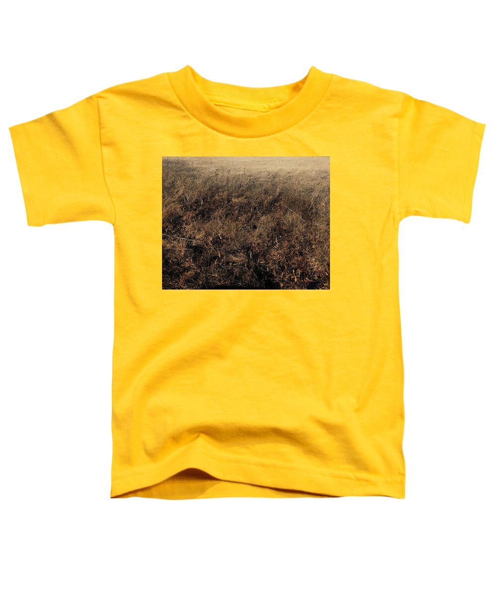 MO Grass - Toddler T-Shirt