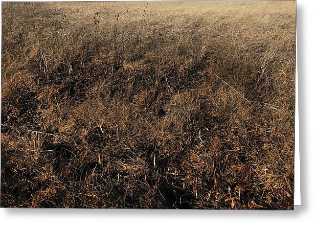 MO Grass - Greeting Card