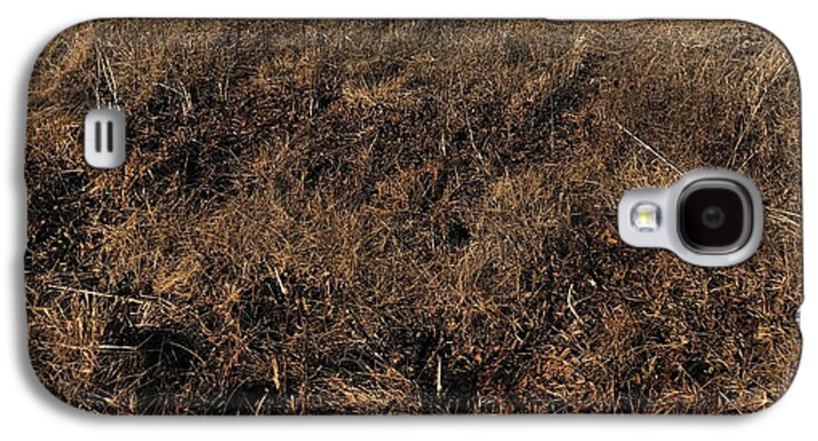 MO Grass - Phone Case