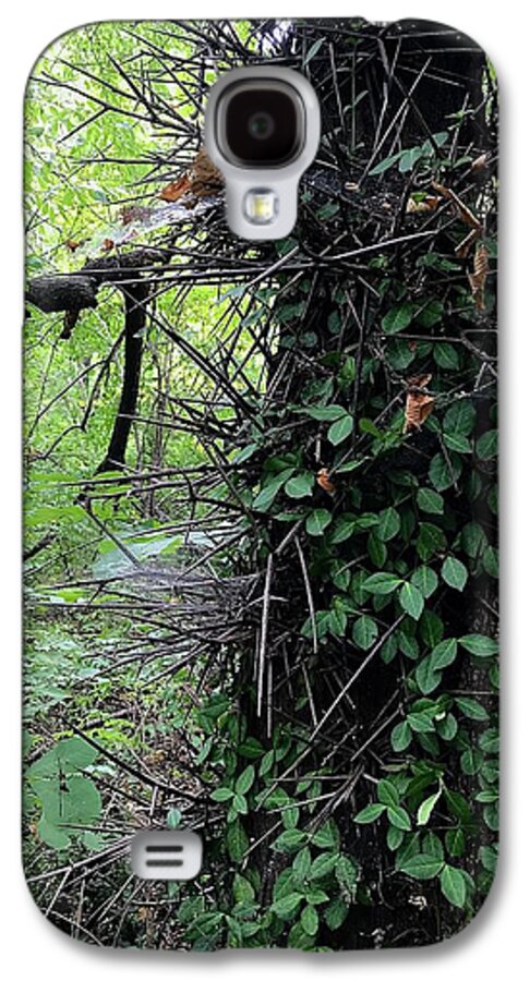 Thorn Trail - Phone Case