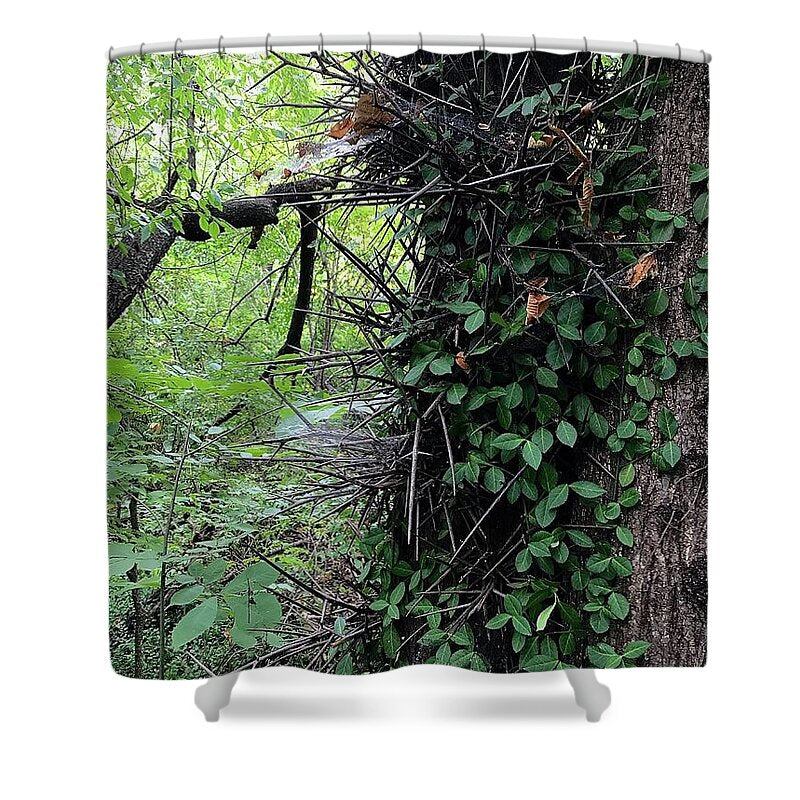 Thorn Trail - Shower Curtain