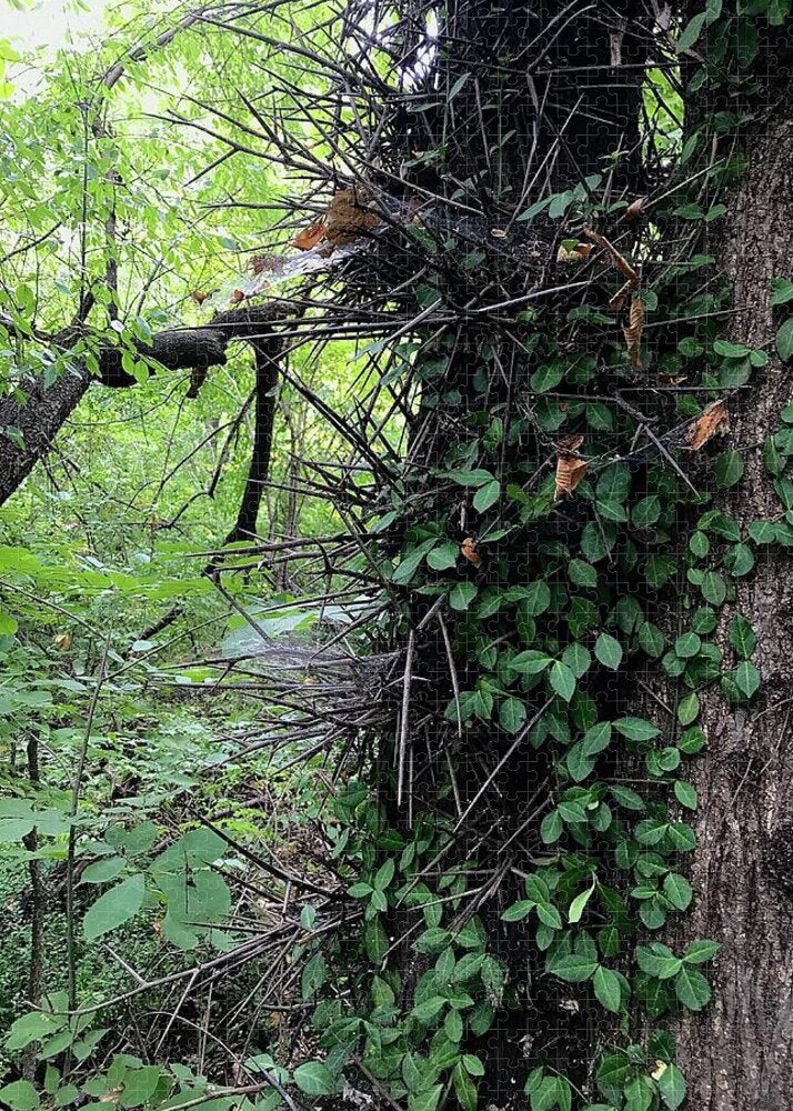 Thorn Trail - Puzzle