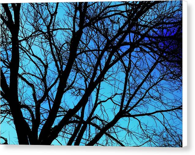 Winter Branch - Canvas Print