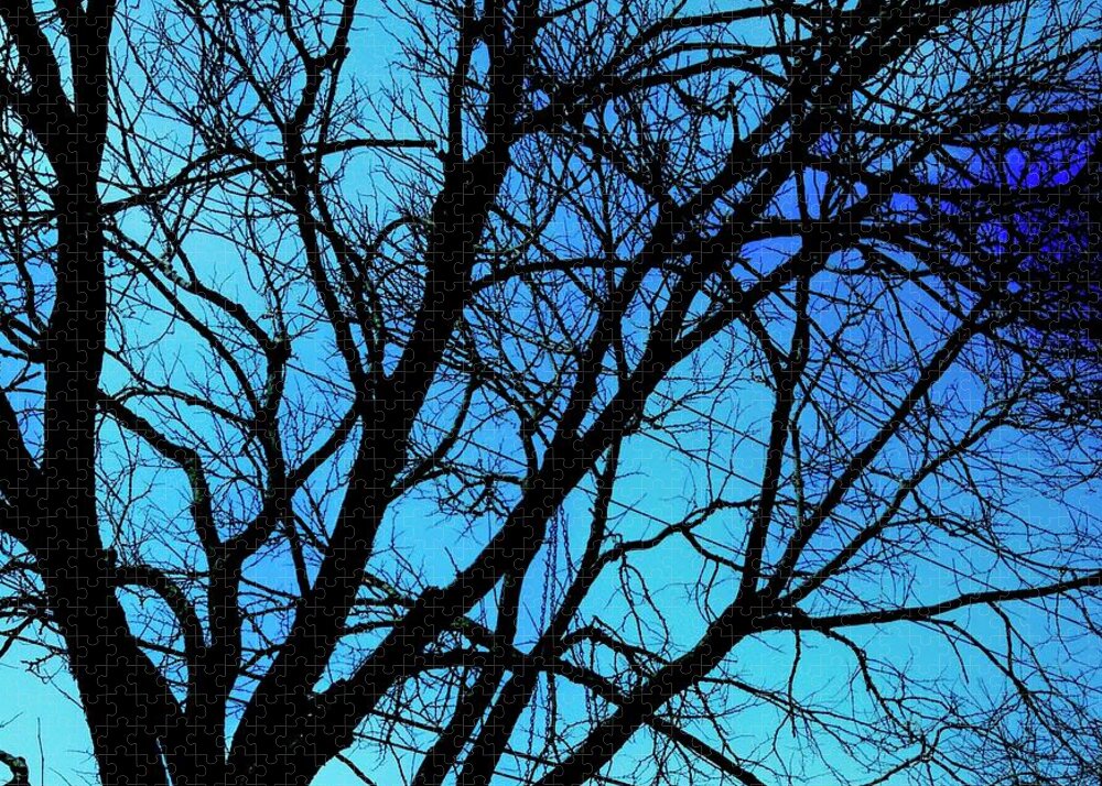 Winter Branch - Puzzle