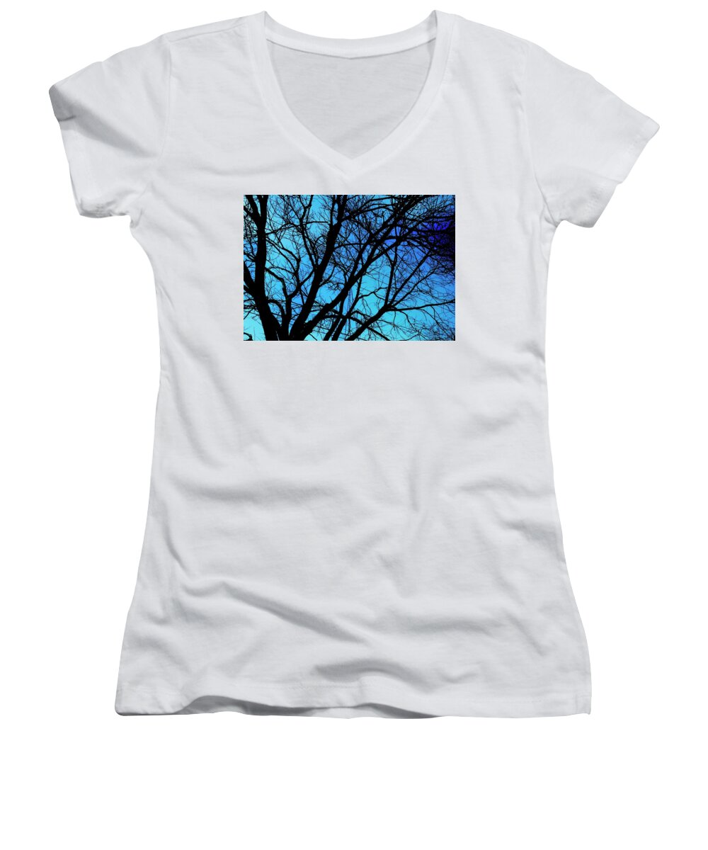 Winter Branch - Women's V-Neck