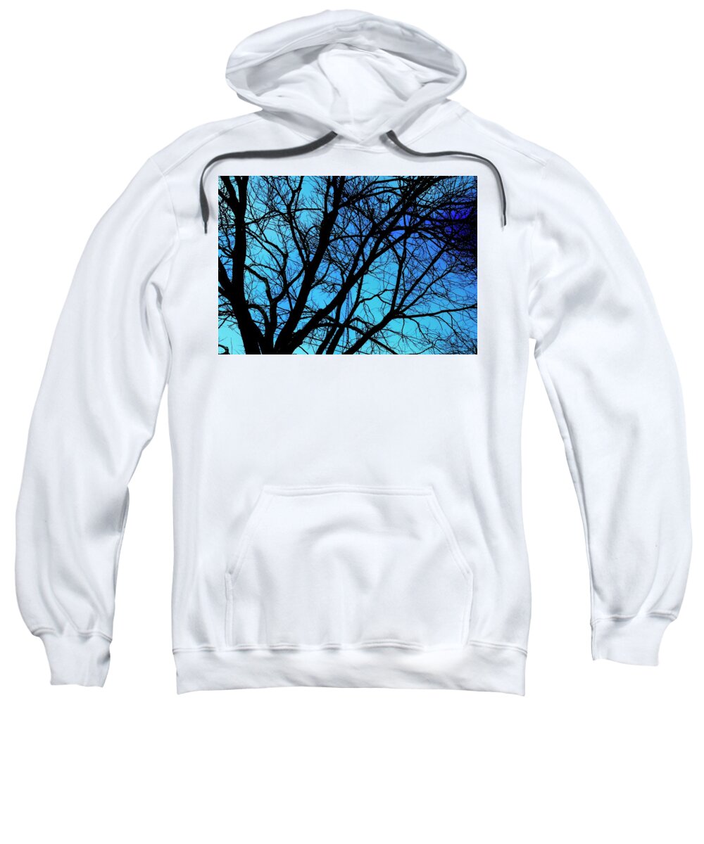 Winter Branch - Sweatshirt
