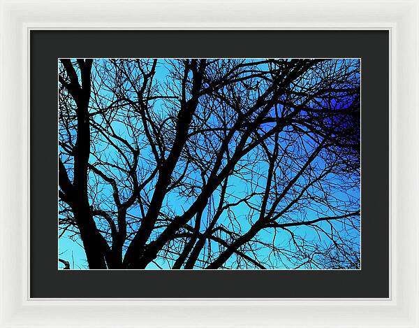 Winter Branch - Framed Print