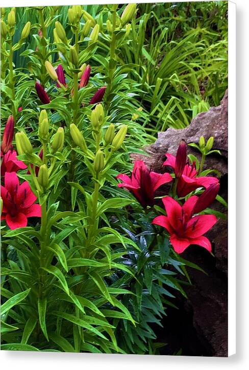 Garden Love - Canvas Print