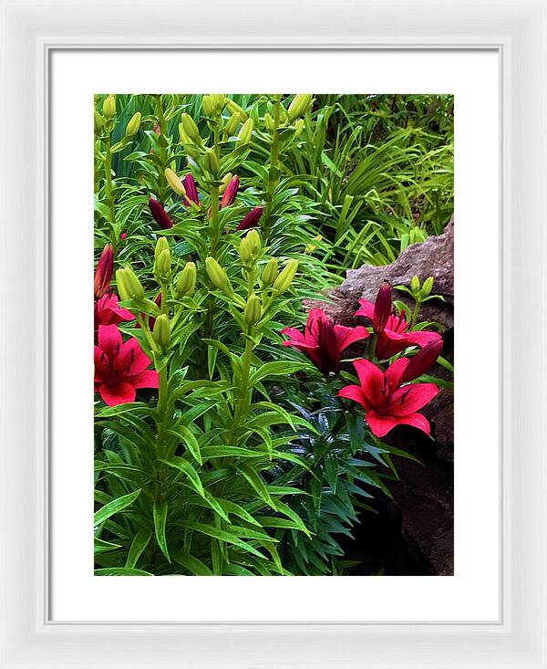 Garden Love - Framed Print