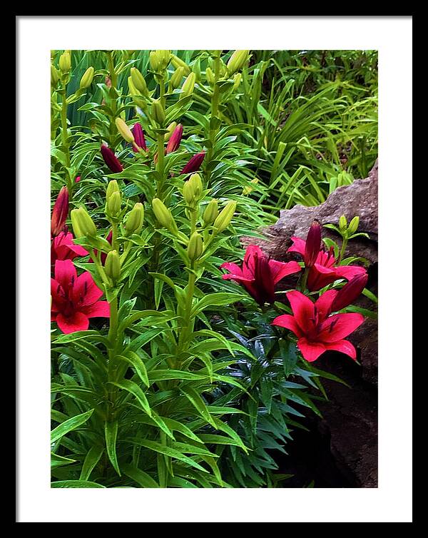 Garden Love - Framed Print