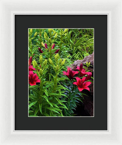 Garden Love - Framed Print