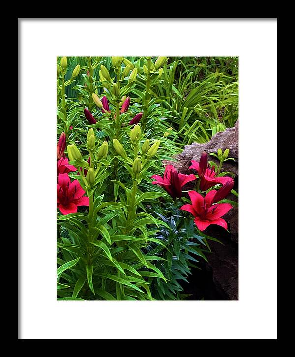 Garden Love - Framed Print