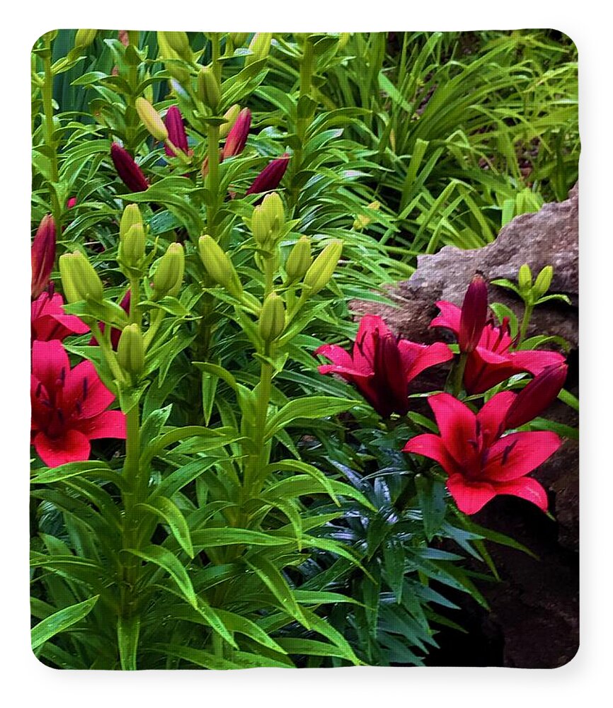 Garden Love - Blanket