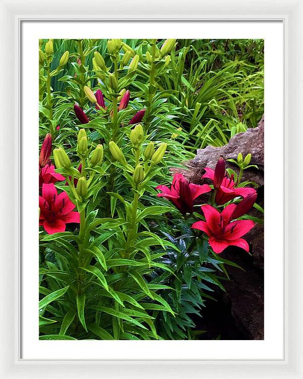 Garden Love - Framed Print