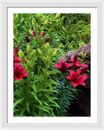 Garden Love - Framed Print