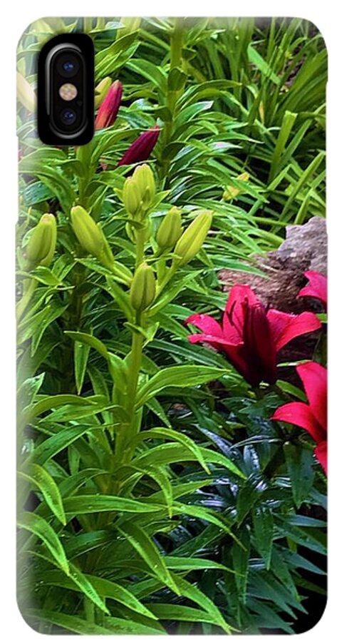 Garden Love - Phone Case