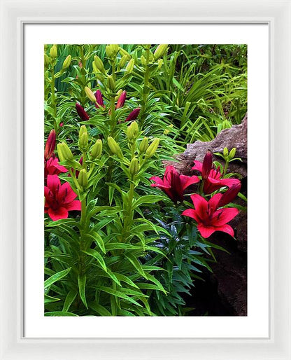 Garden Love - Framed Print