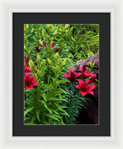 Garden Love - Framed Print