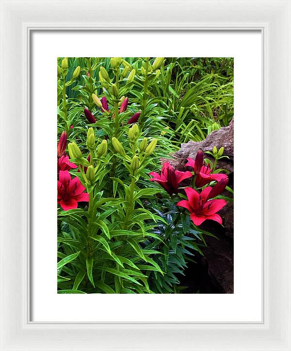 Garden Love - Framed Print