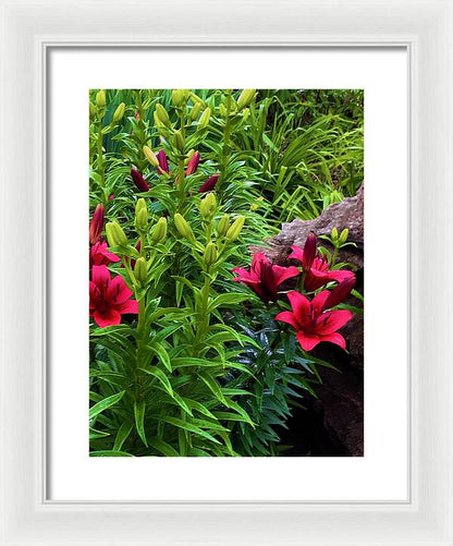 Garden Love - Framed Print