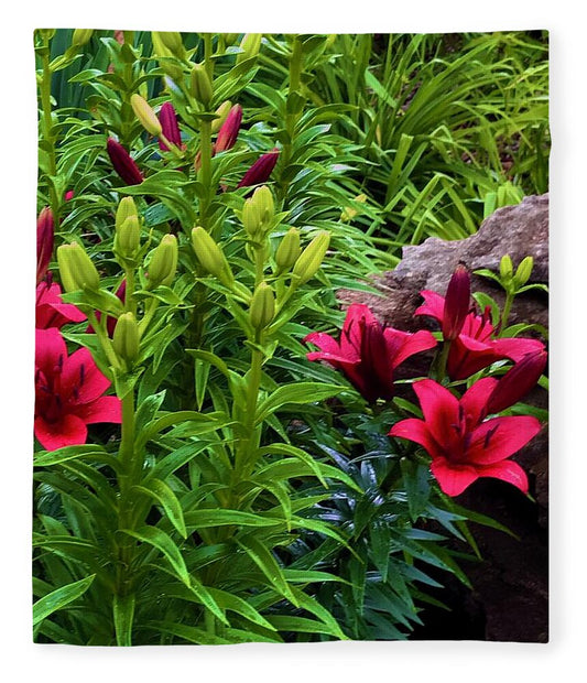 Garden Love - Blanket