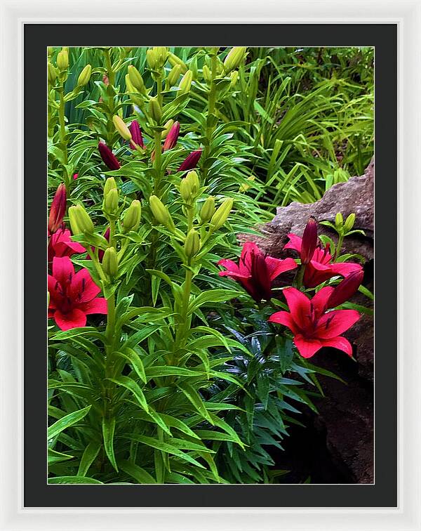 Garden Love - Framed Print