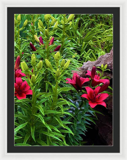 Garden Love - Framed Print