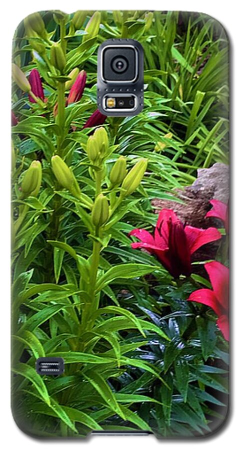 Garden Love - Phone Case