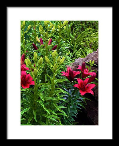 Garden Love - Framed Print