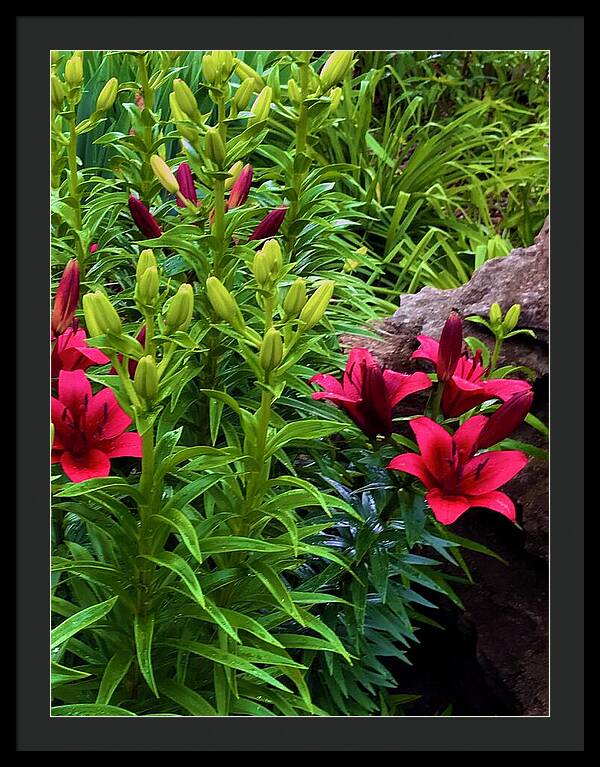 Garden Love - Framed Print