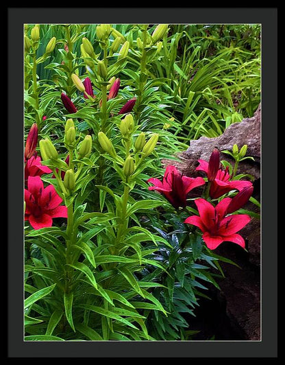 Garden Love - Framed Print