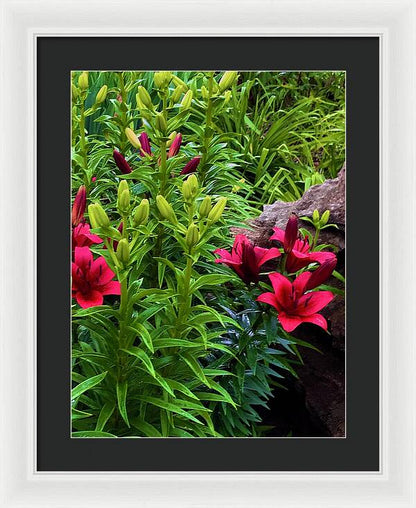 Garden Love - Framed Print