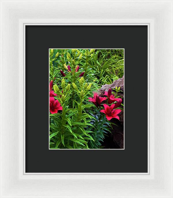 Garden Love - Framed Print