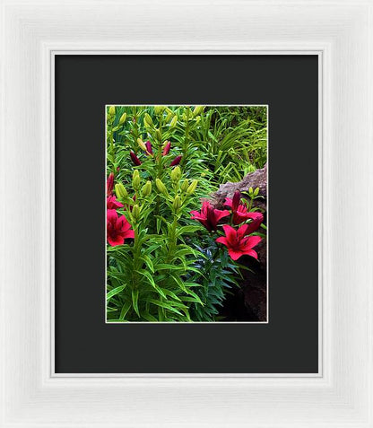Garden Love - Framed Print