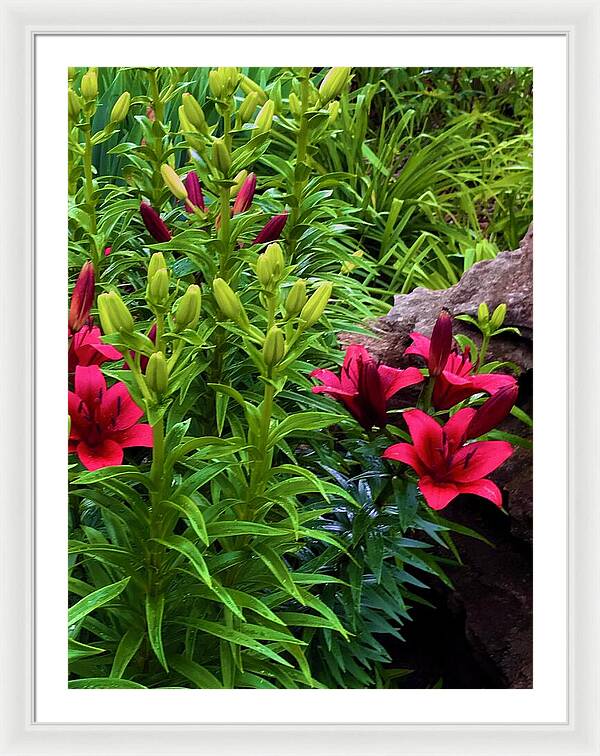 Garden Love - Framed Print