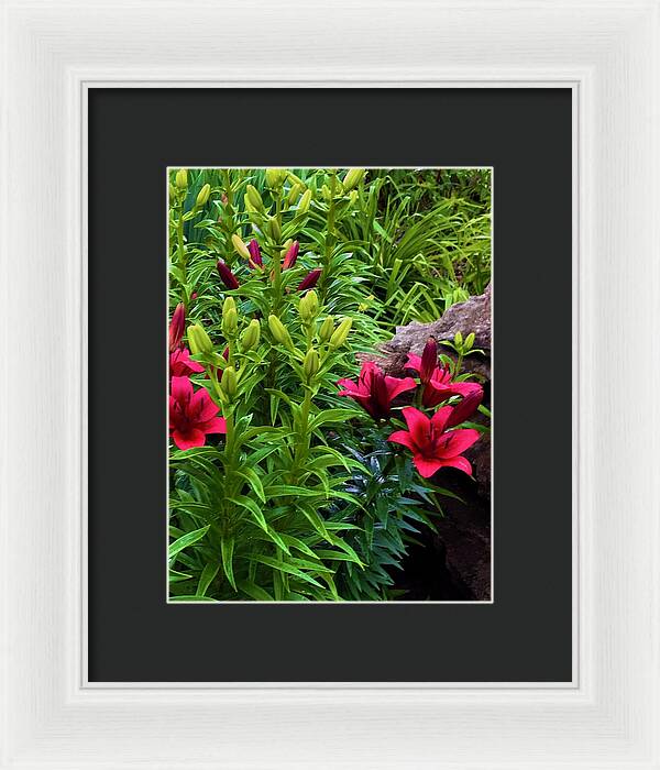Garden Love - Framed Print