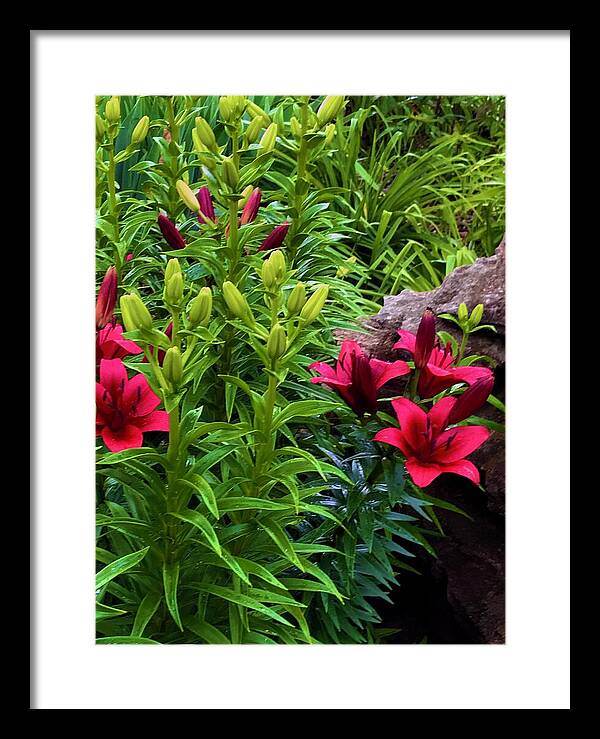 Garden Love - Framed Print