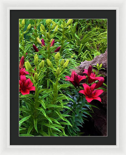 Garden Love - Framed Print