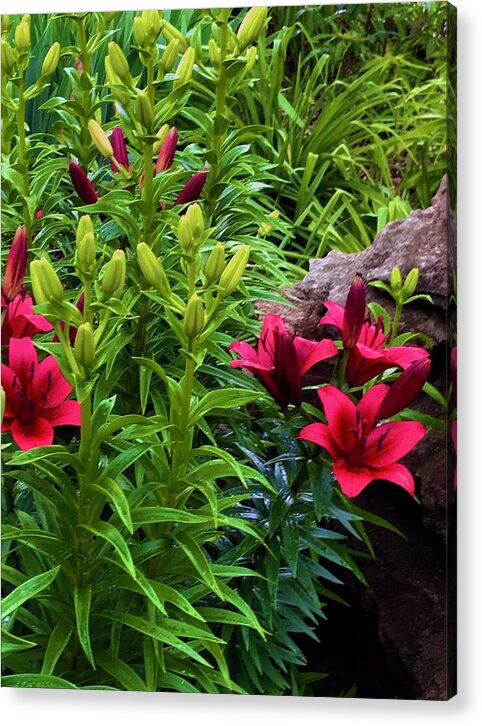 Garden Love - Acrylic Print